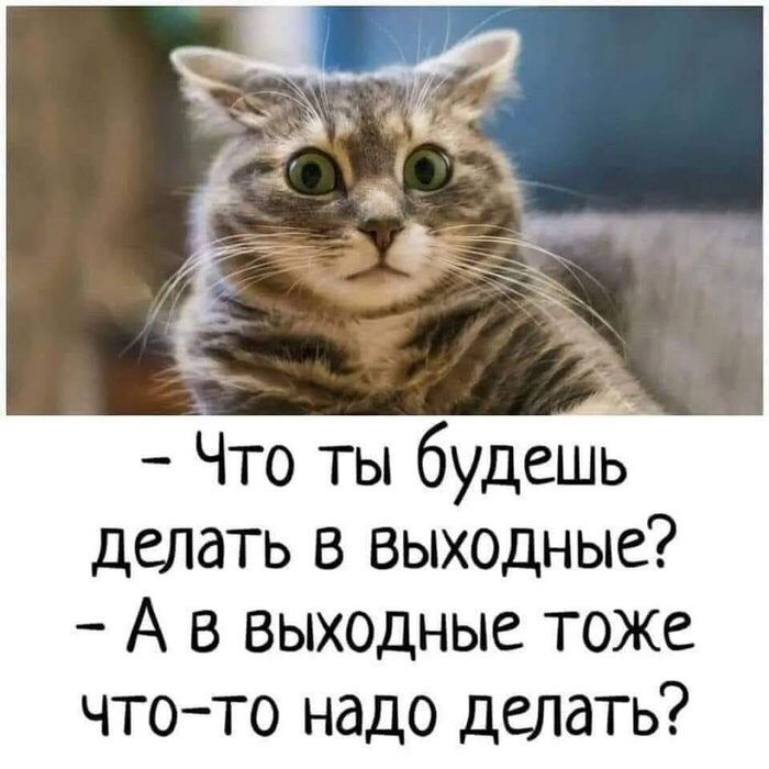 4CDD26D0-E6DC-40E3-9377-D6DE0322B5C9.jpeg