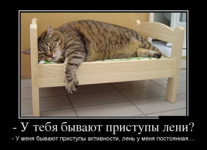 F8DC85B9-214D-42CB-B8A1-E591854C36AC.jpeg