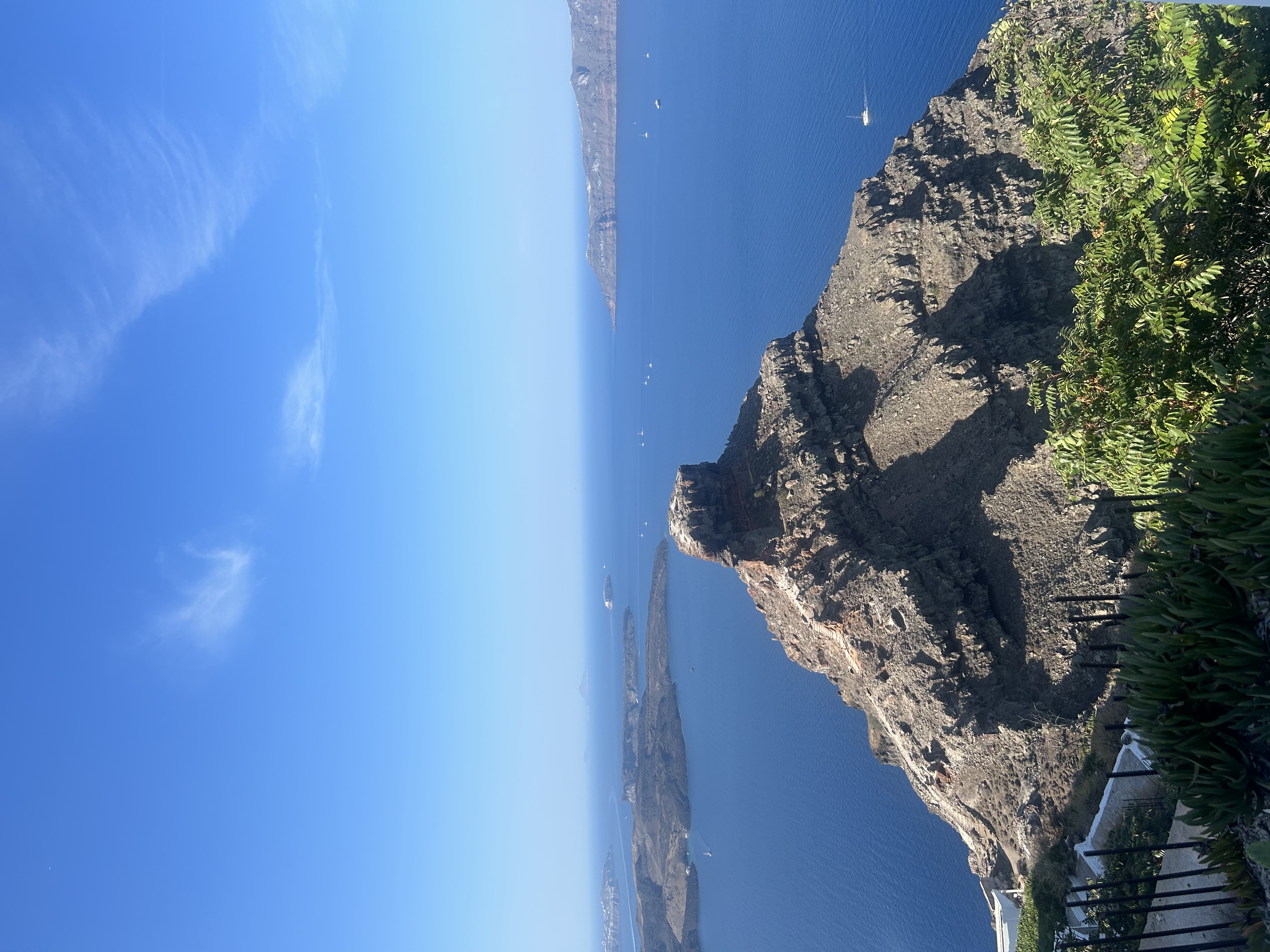 IMG_0686.jpeg