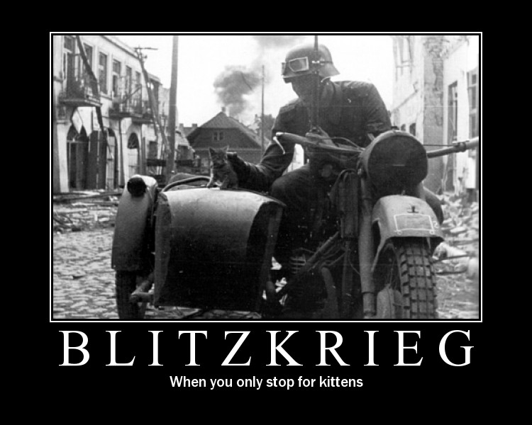 blitzkrieg-when-you-only-stop-for-kittens.jpg
