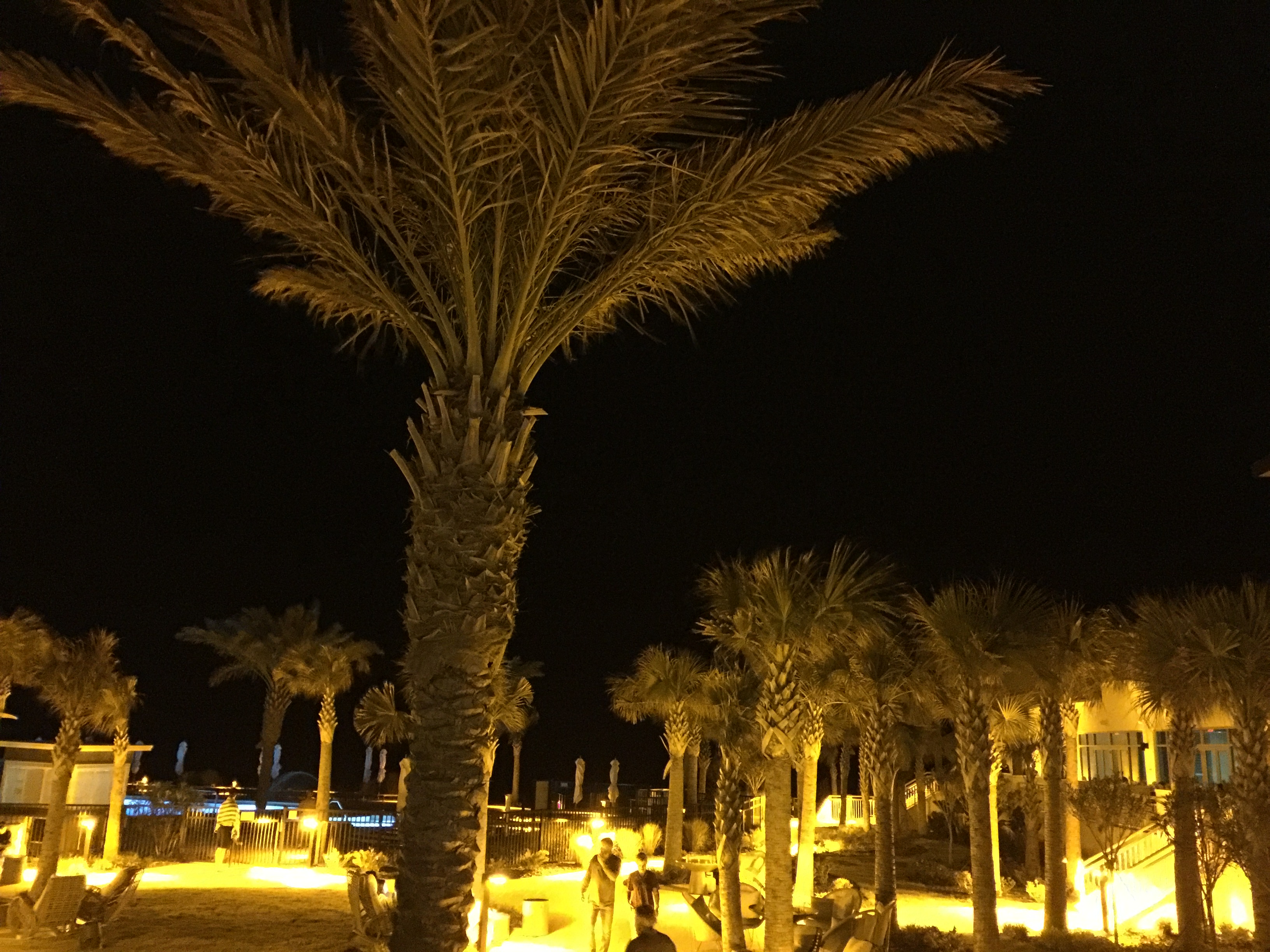 IMG_4299 - Copy.JPG
