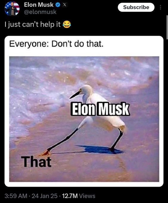474902222_122191058852172085_6789971018443543517_n.jpg