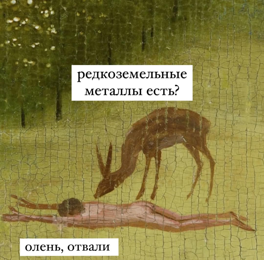FB_IMG_1740519787862.jpg