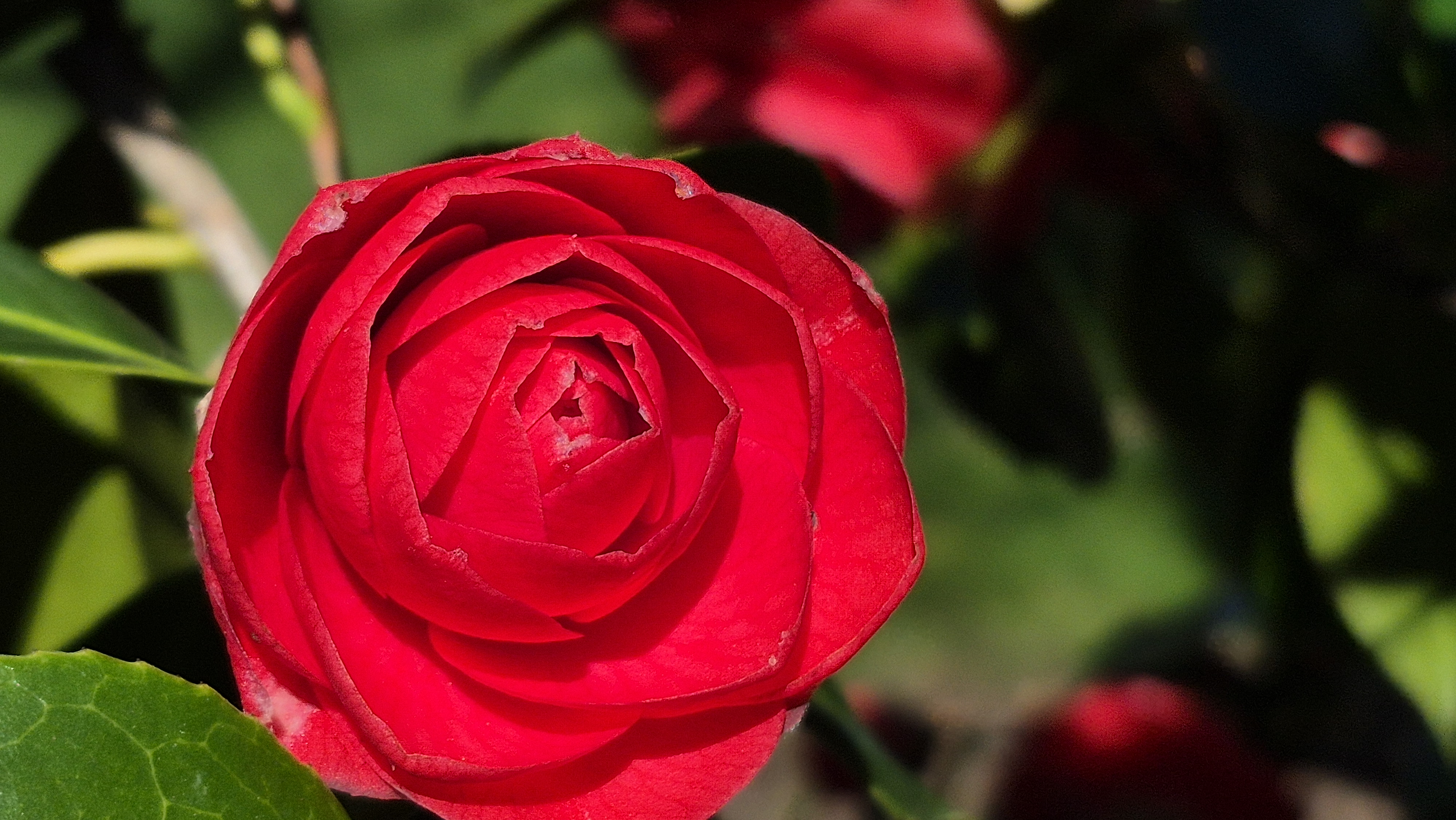 20250309_132009.jpg