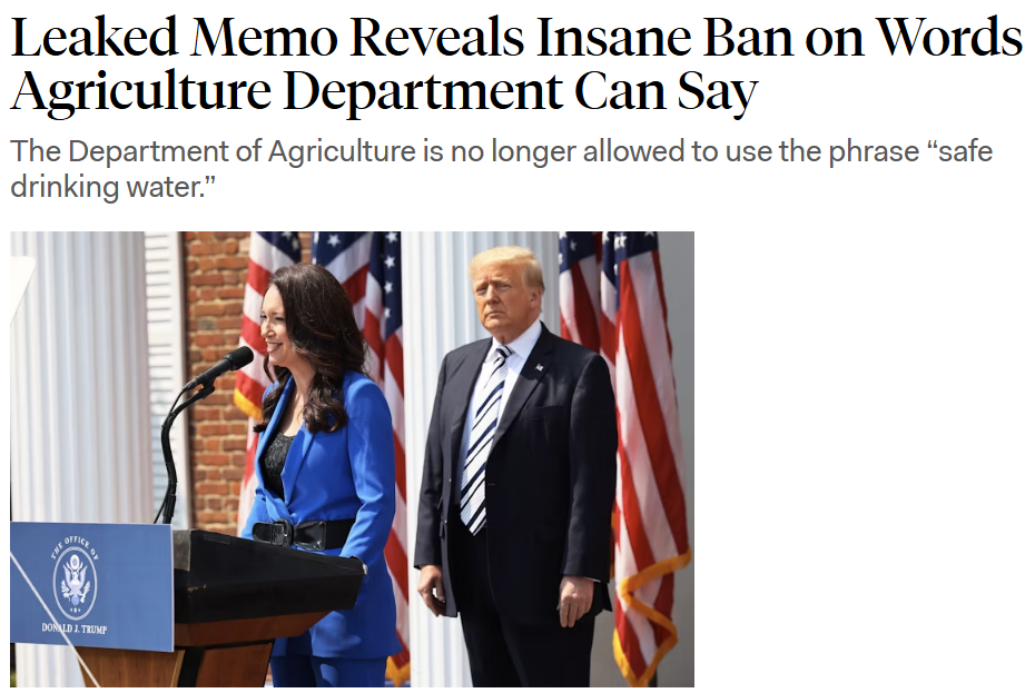 Screenshot 2025-04-05 123408.png
