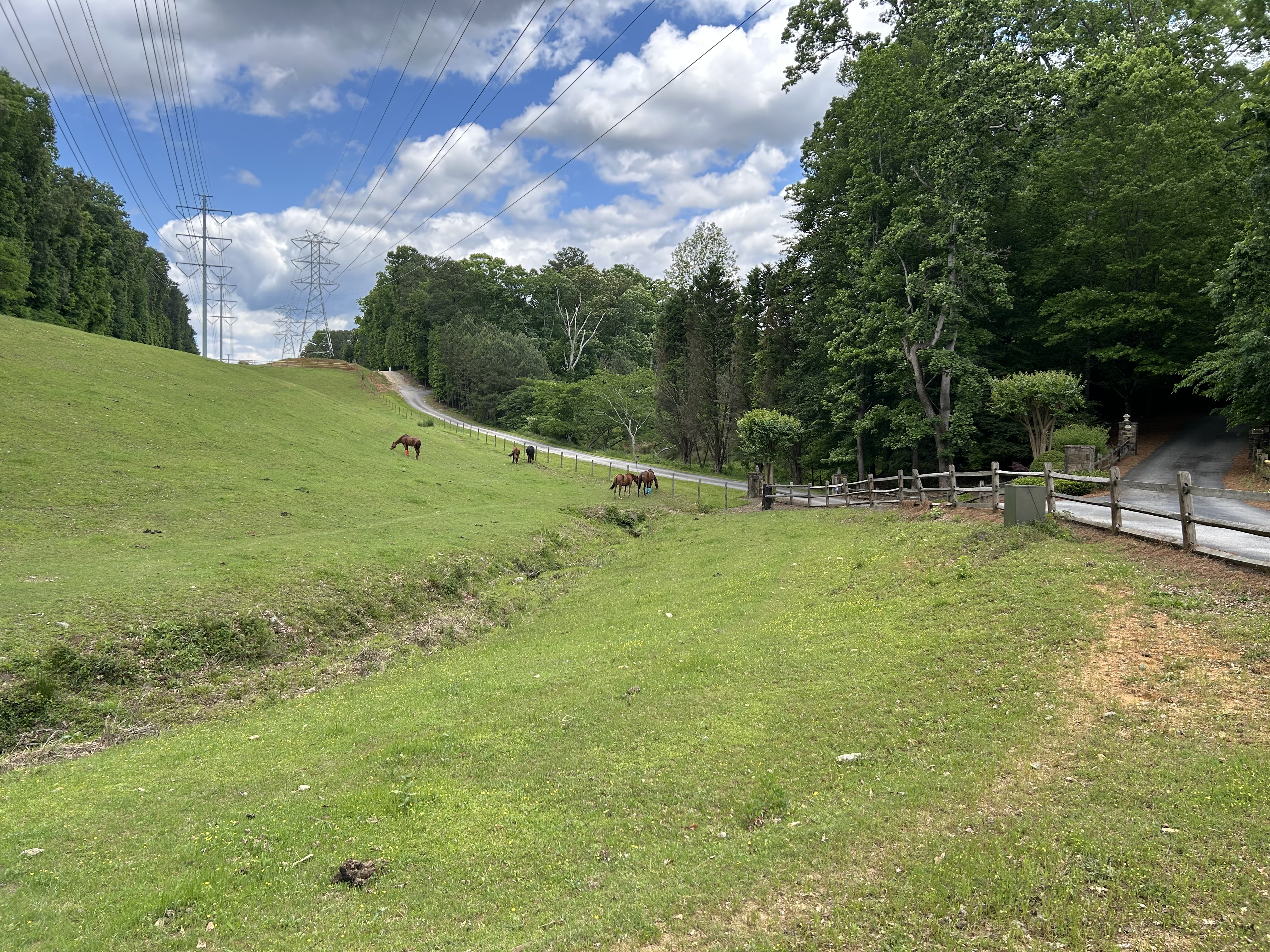 IMG_0608.jpeg