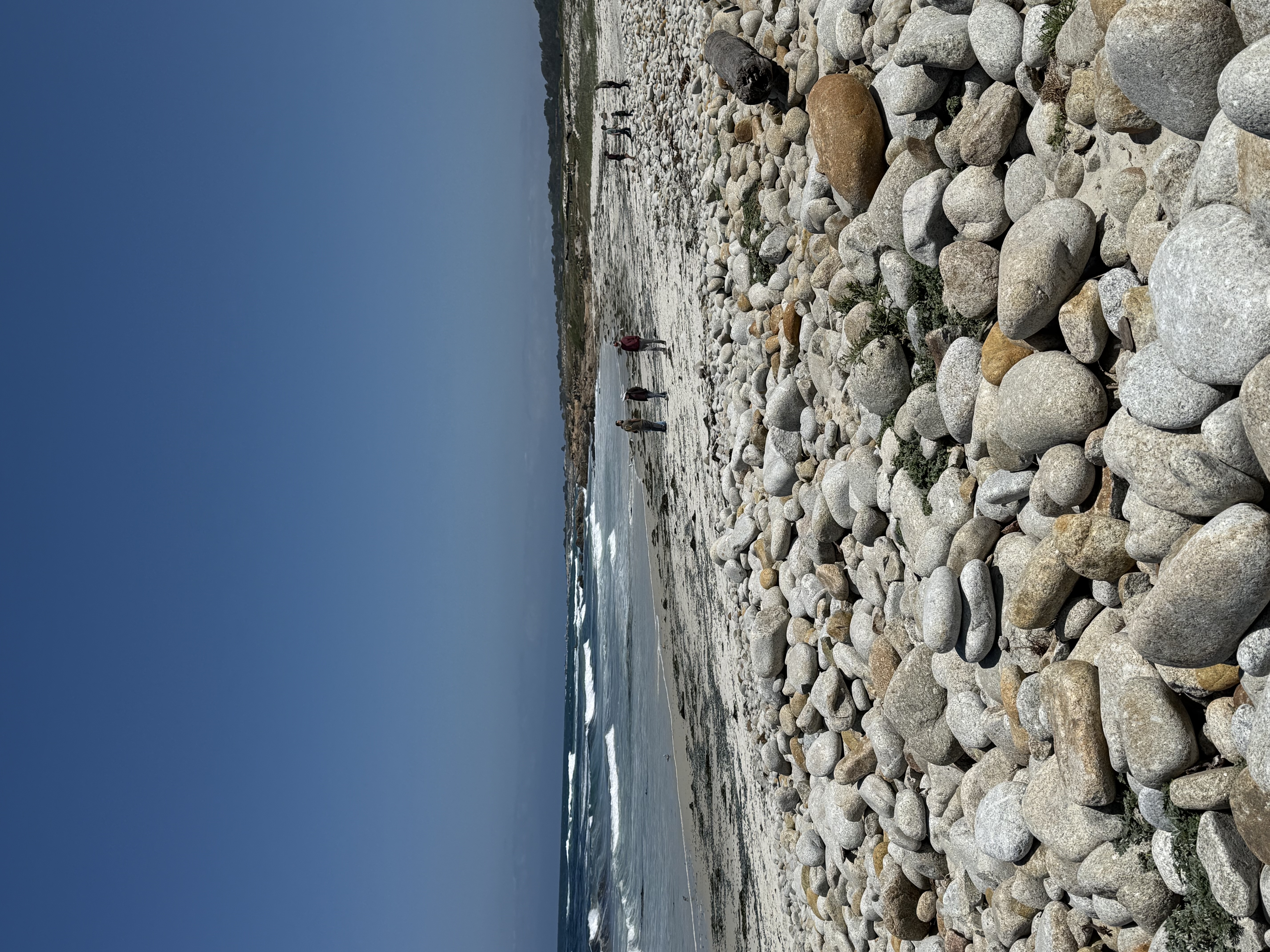 IMG_3602.jpeg