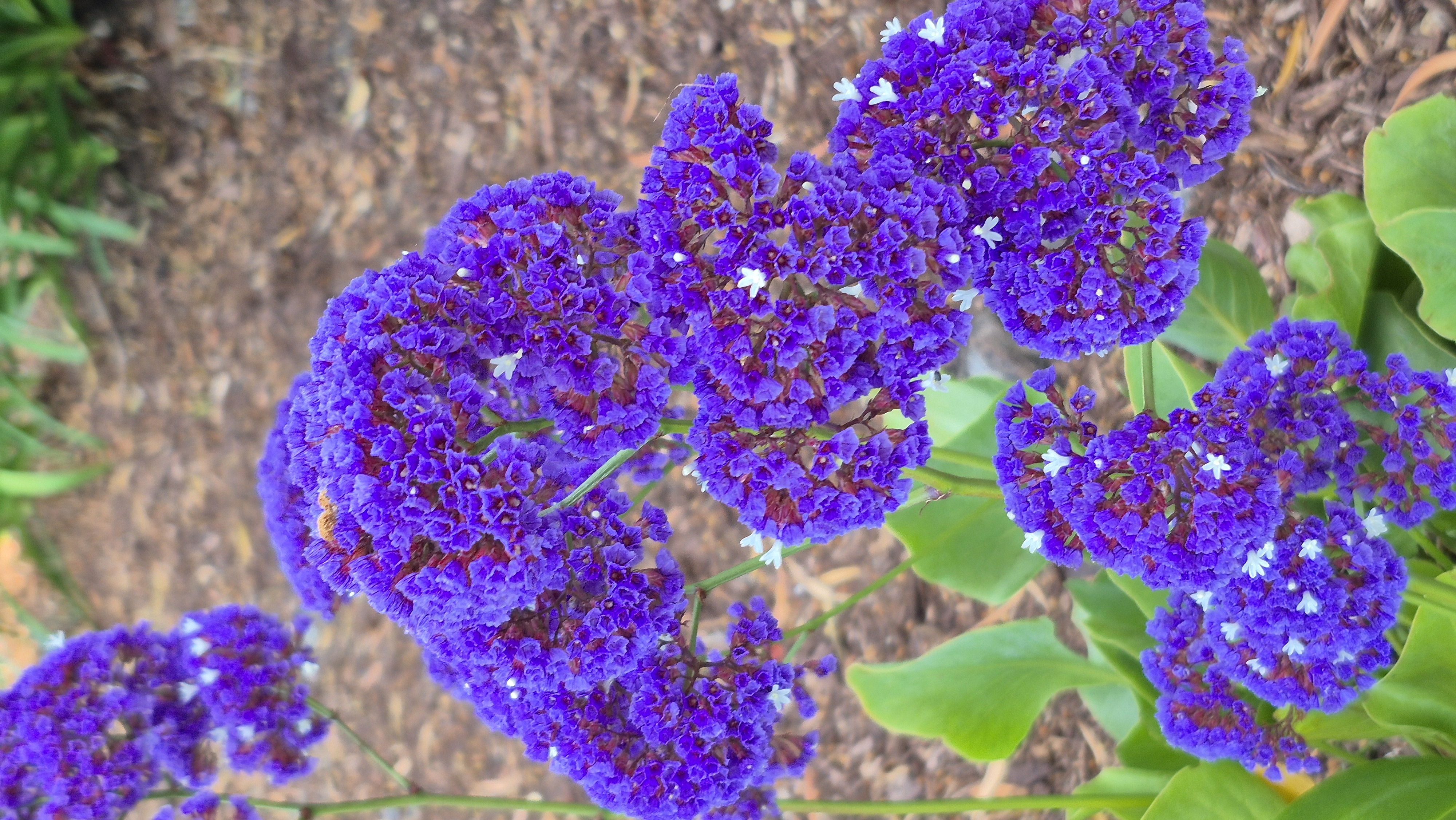 20250516_103604.jpg