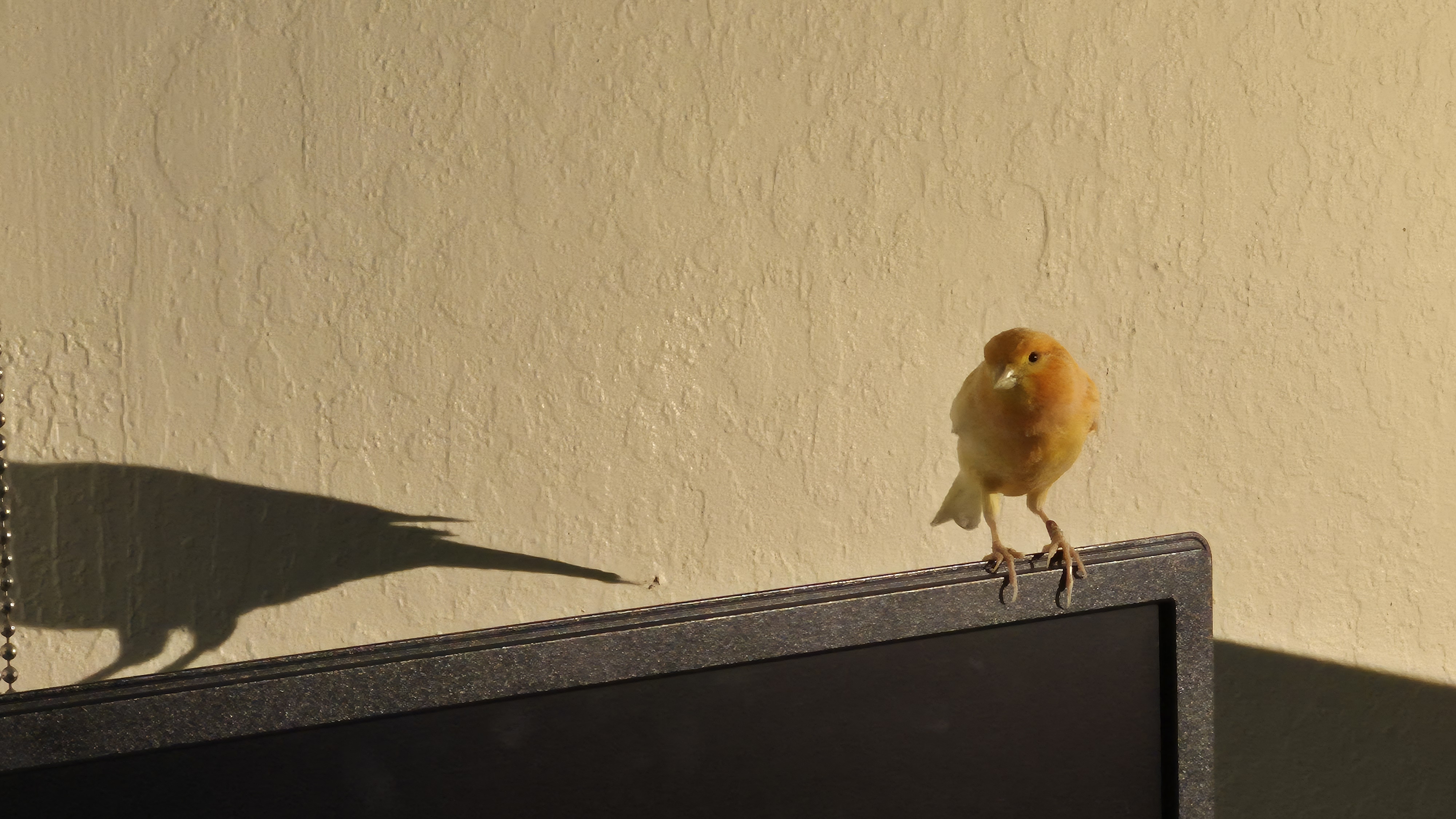 20250515_115739.jpg