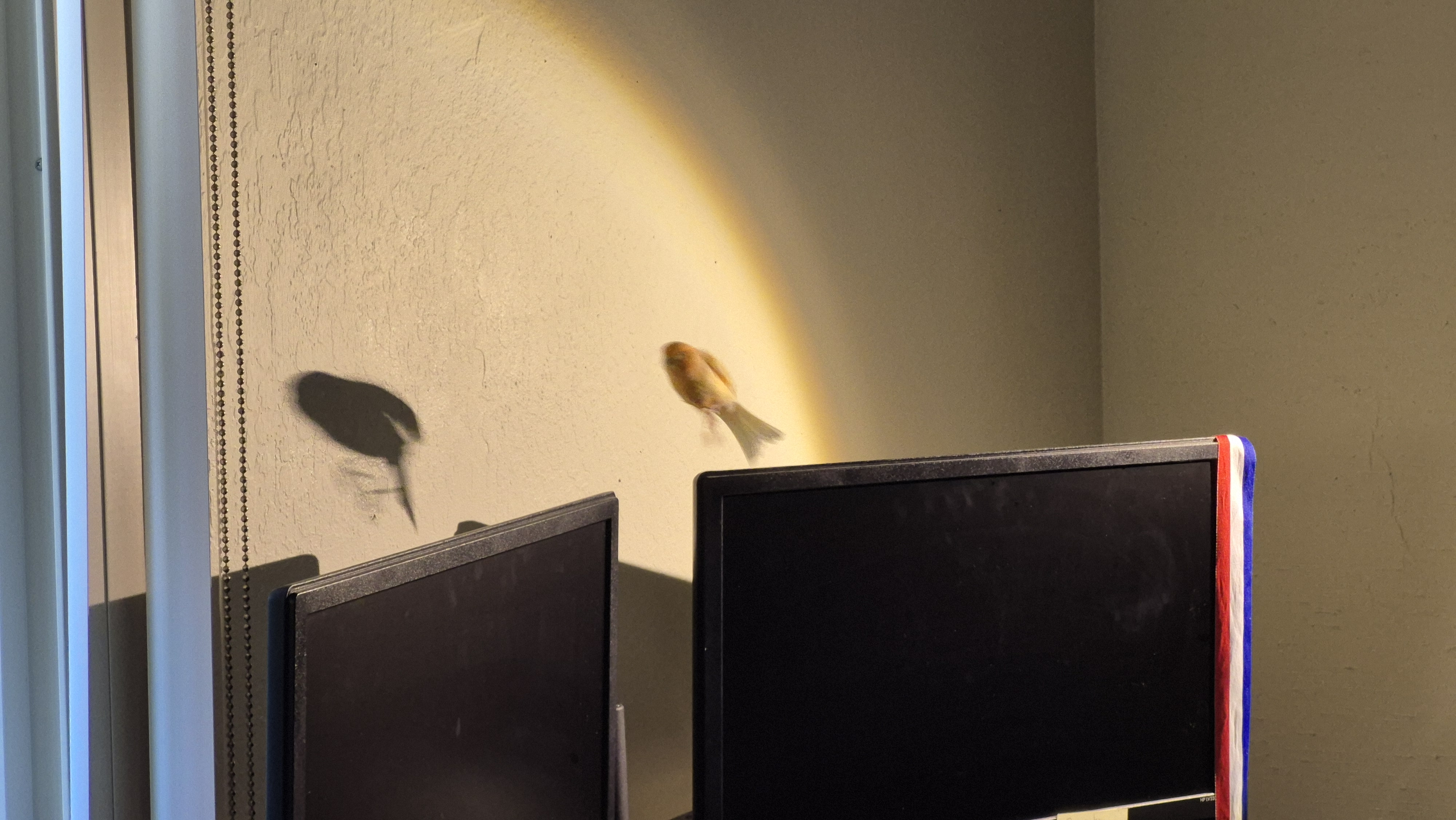 20250515_115706.jpg