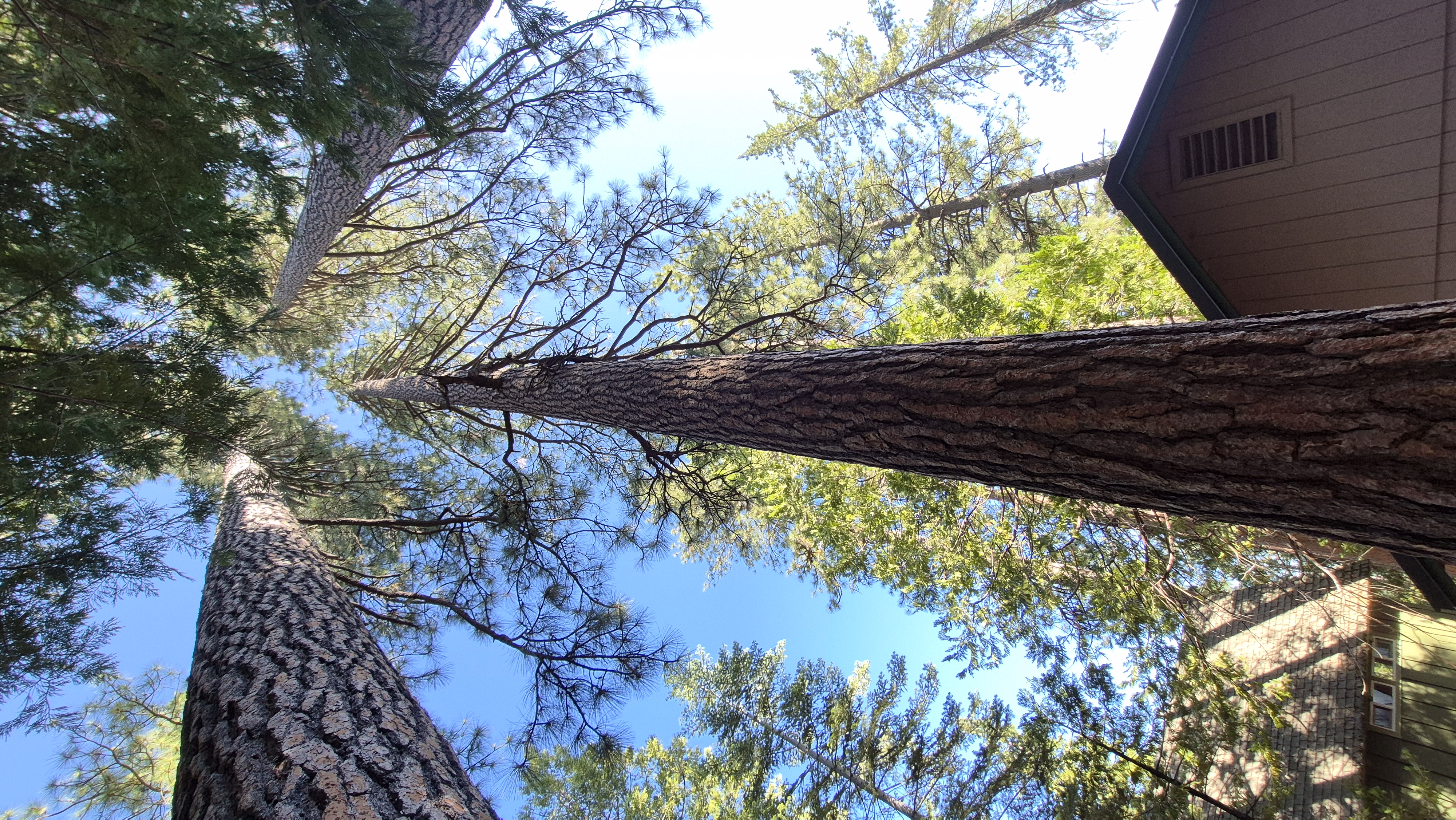 20250612_170534.jpg