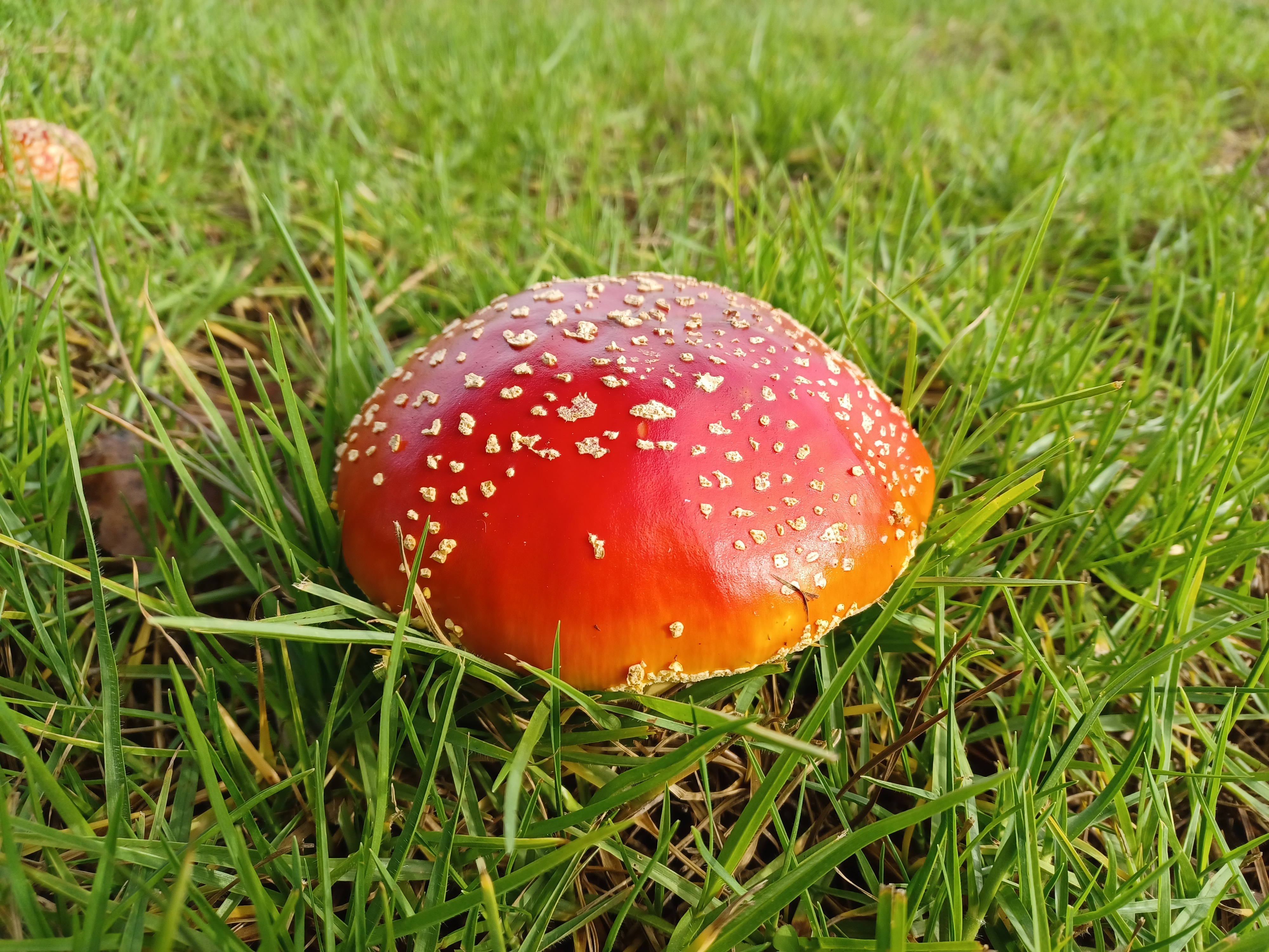 20230114_141846.jpg