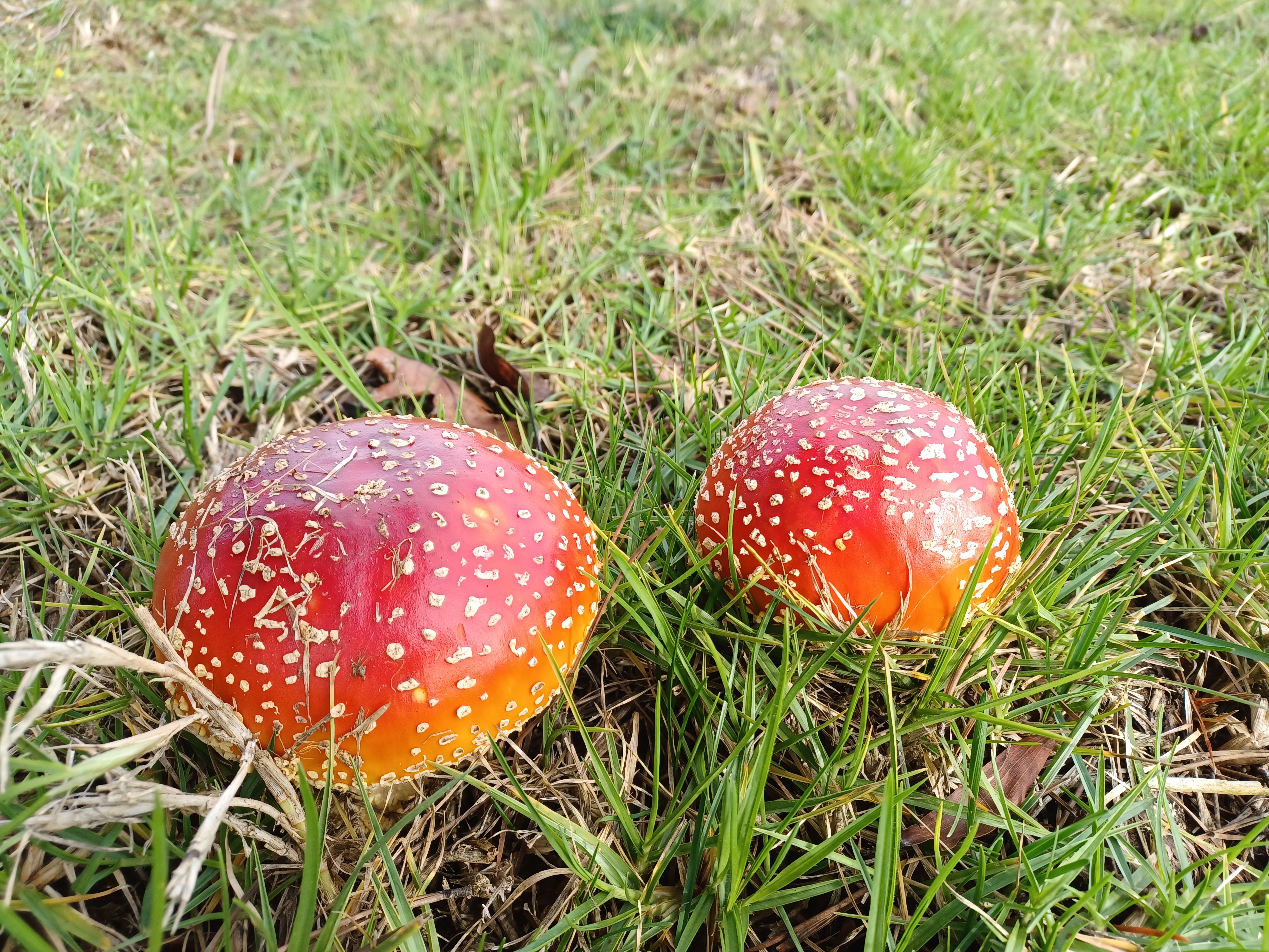 20230114_141903.jpg
