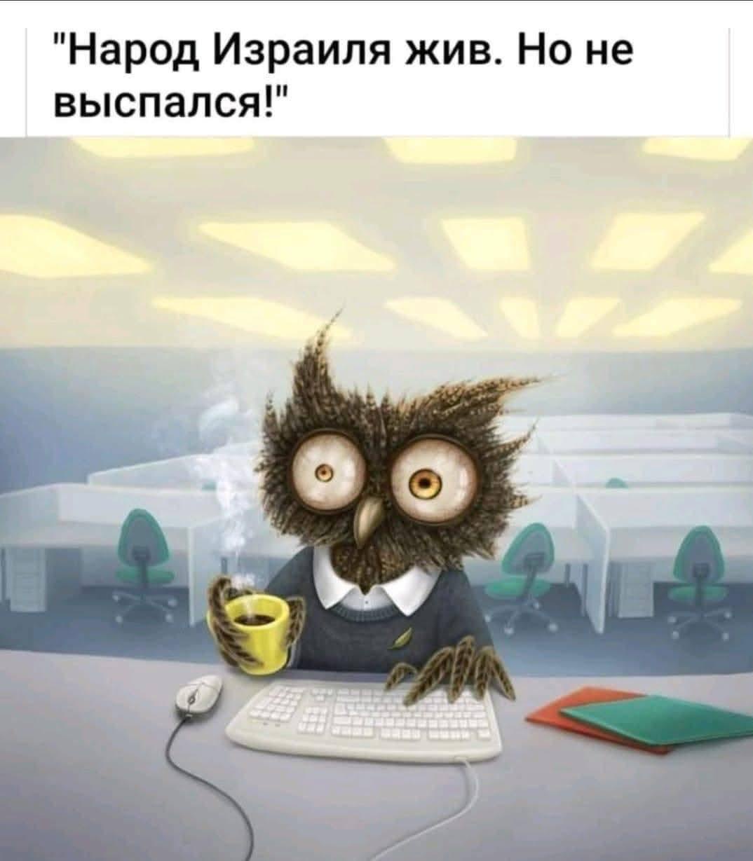 IMG_4688.jpeg