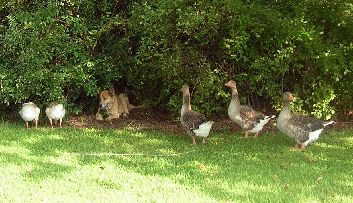 DSCN5215.JPG