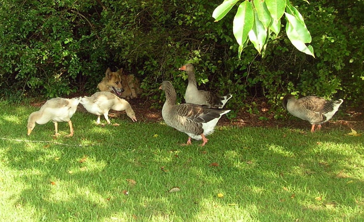 DSCN5223.JPG