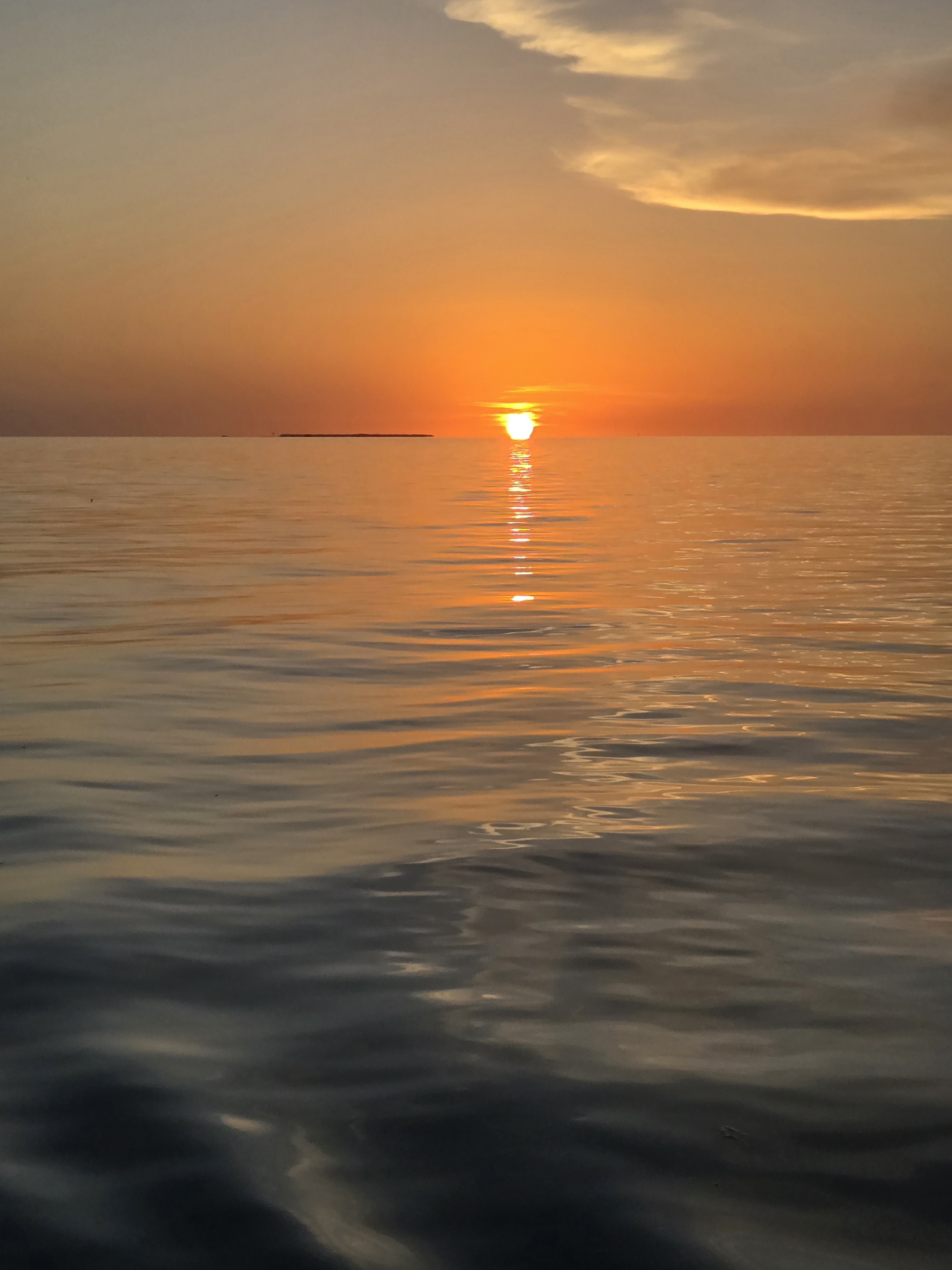 20250802_200757.jpg