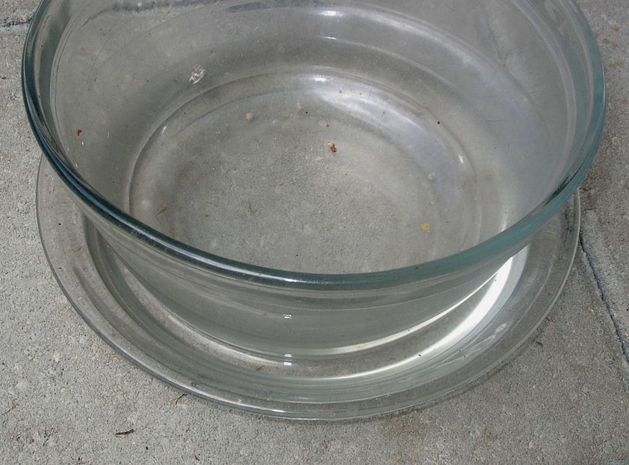 DSCN5333.JPG