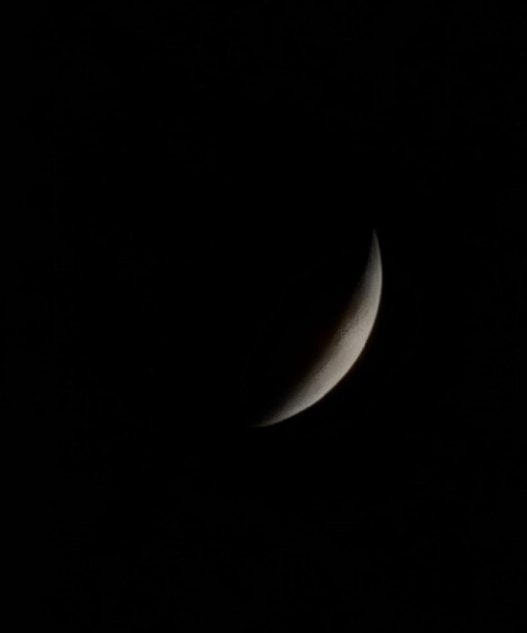 Luna1.jpeg