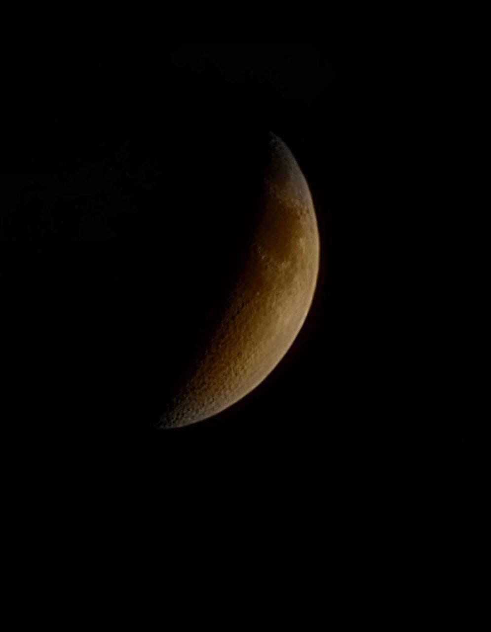 Luna2.jpeg