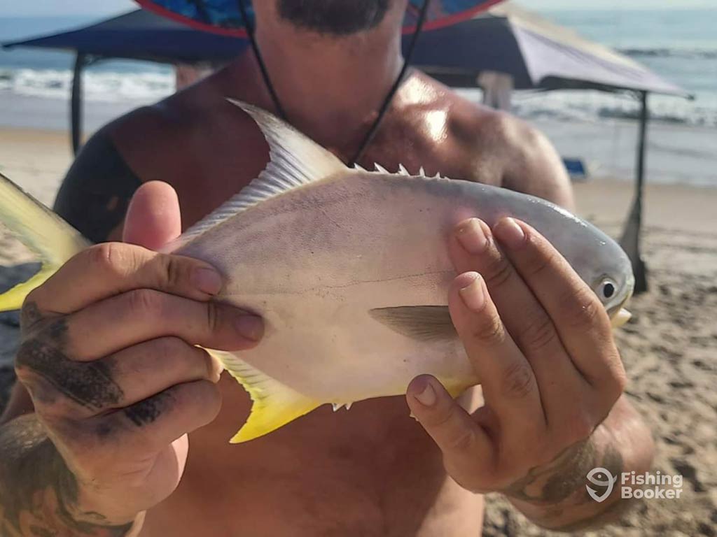 Pompano-closeup.jpg