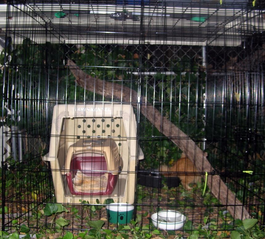 DSCN5386.JPG