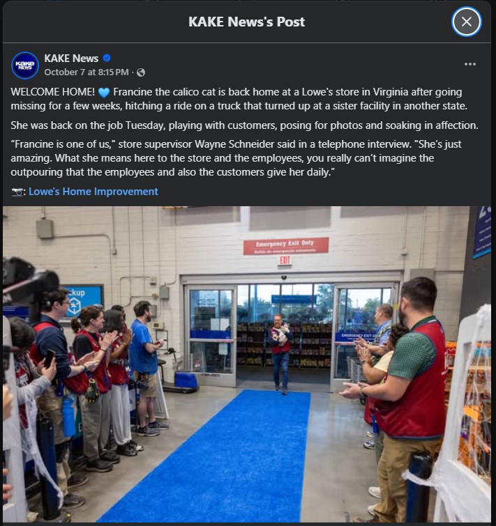 lowes.jpg