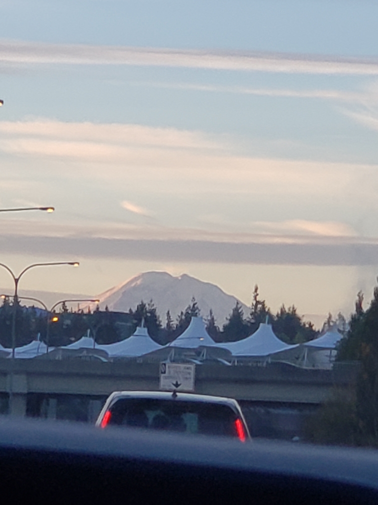 Resized_20251021_074518.jpeg