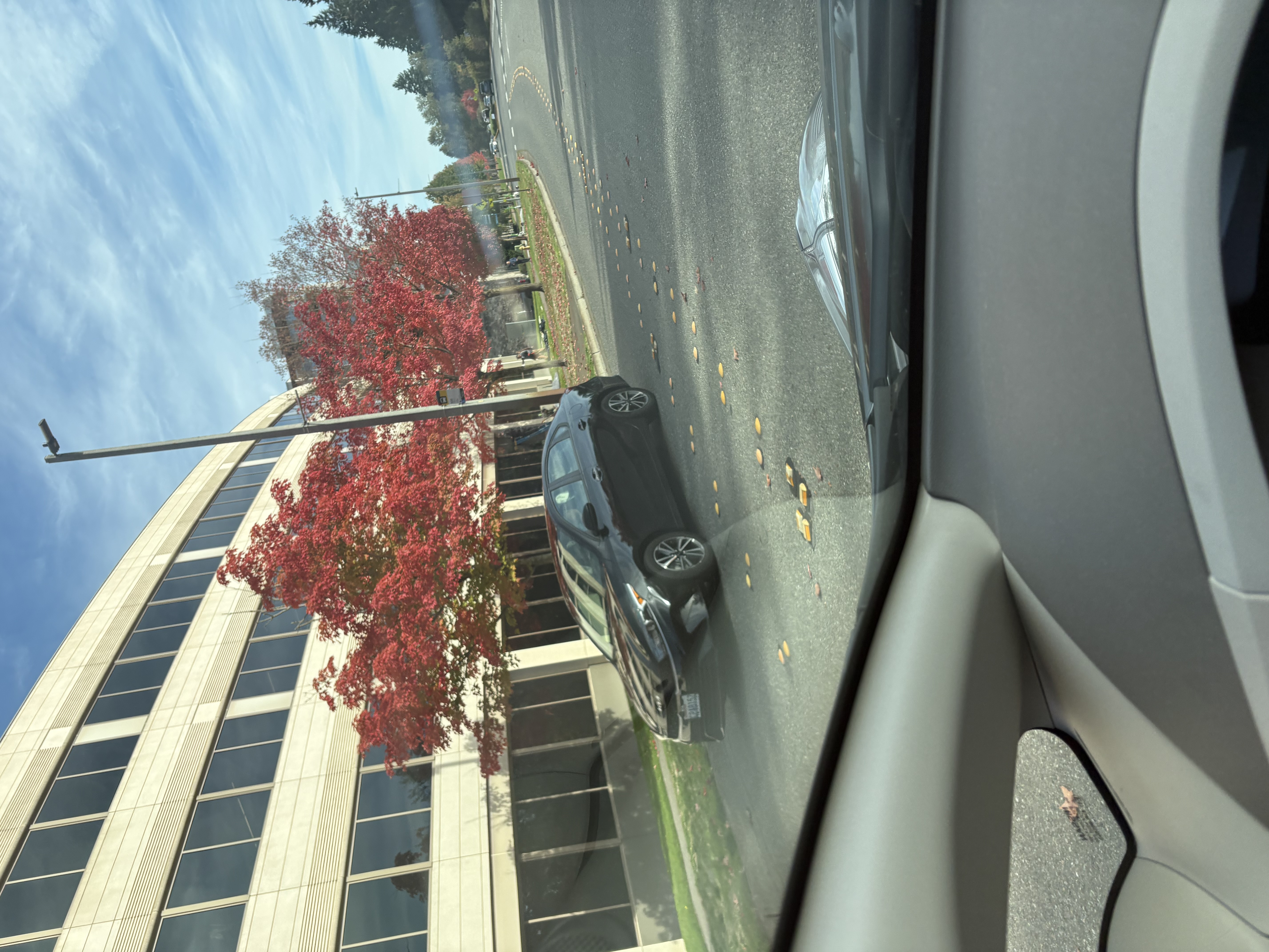 IMG_7758.jpeg