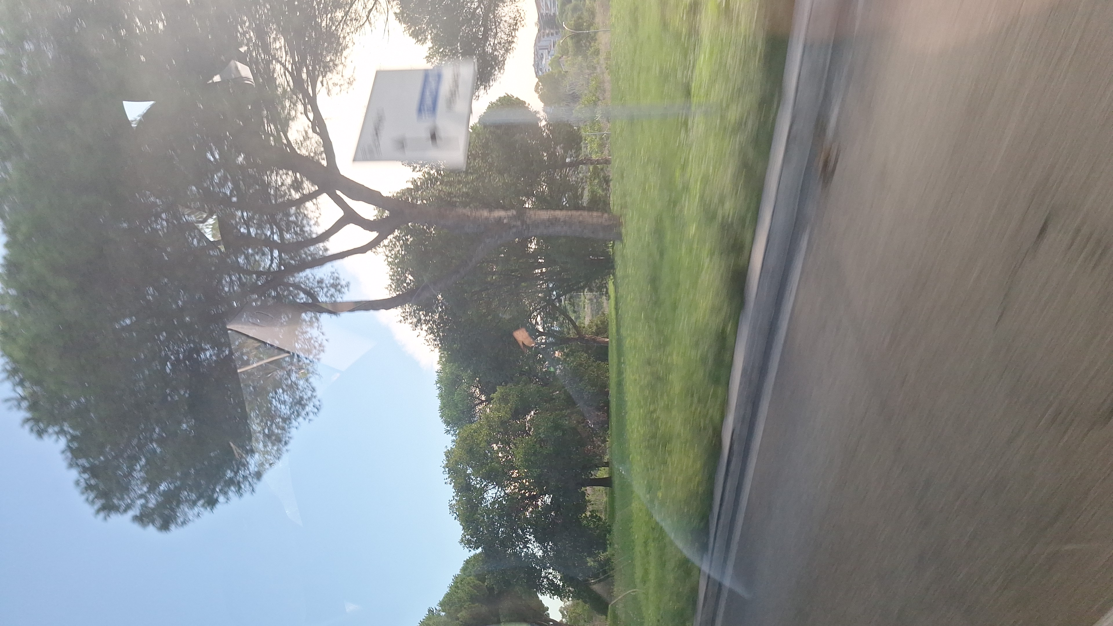 IMG-20250927-WA0019.jpeg