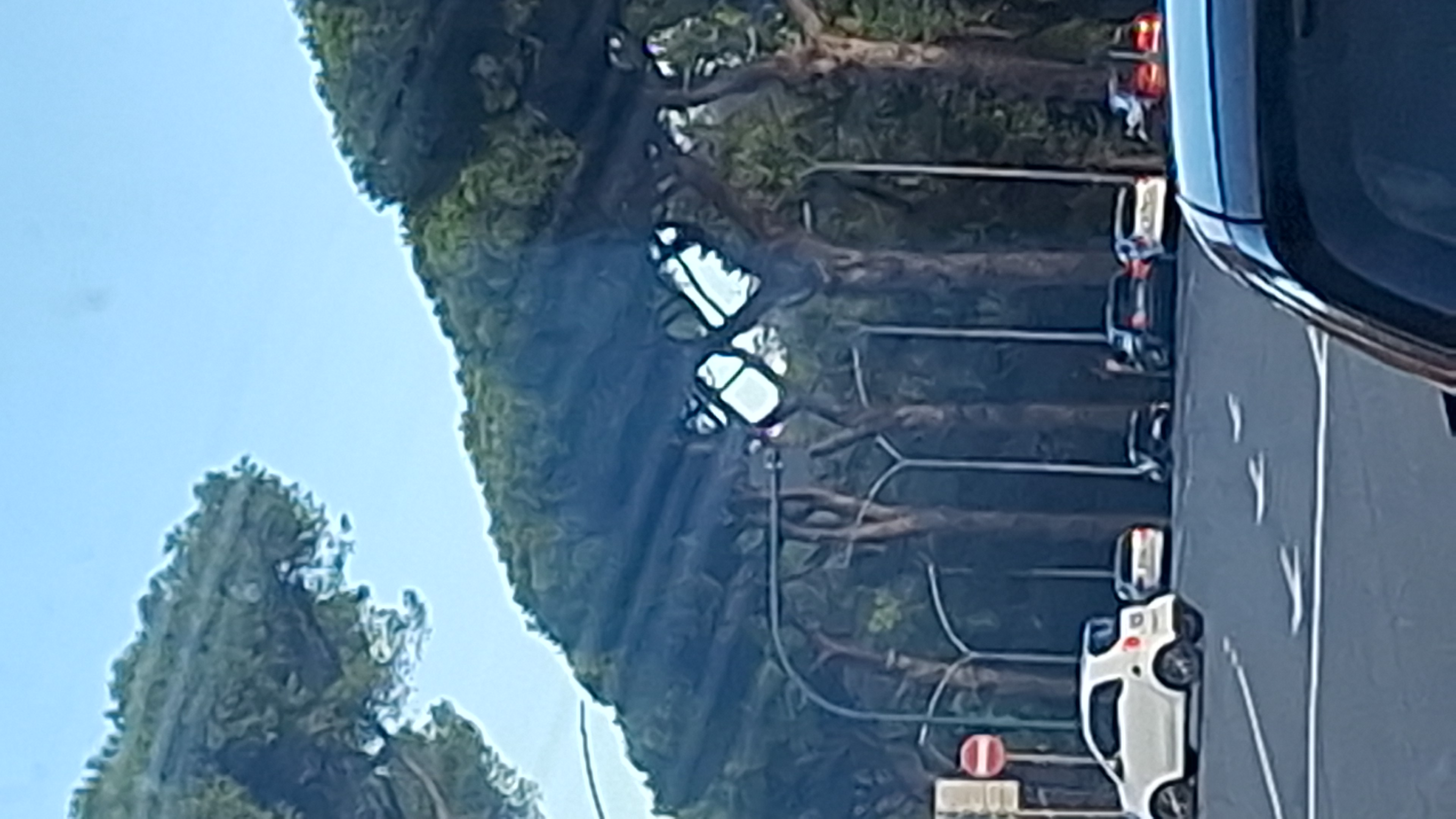 IMG-20250927-WA0022.jpeg