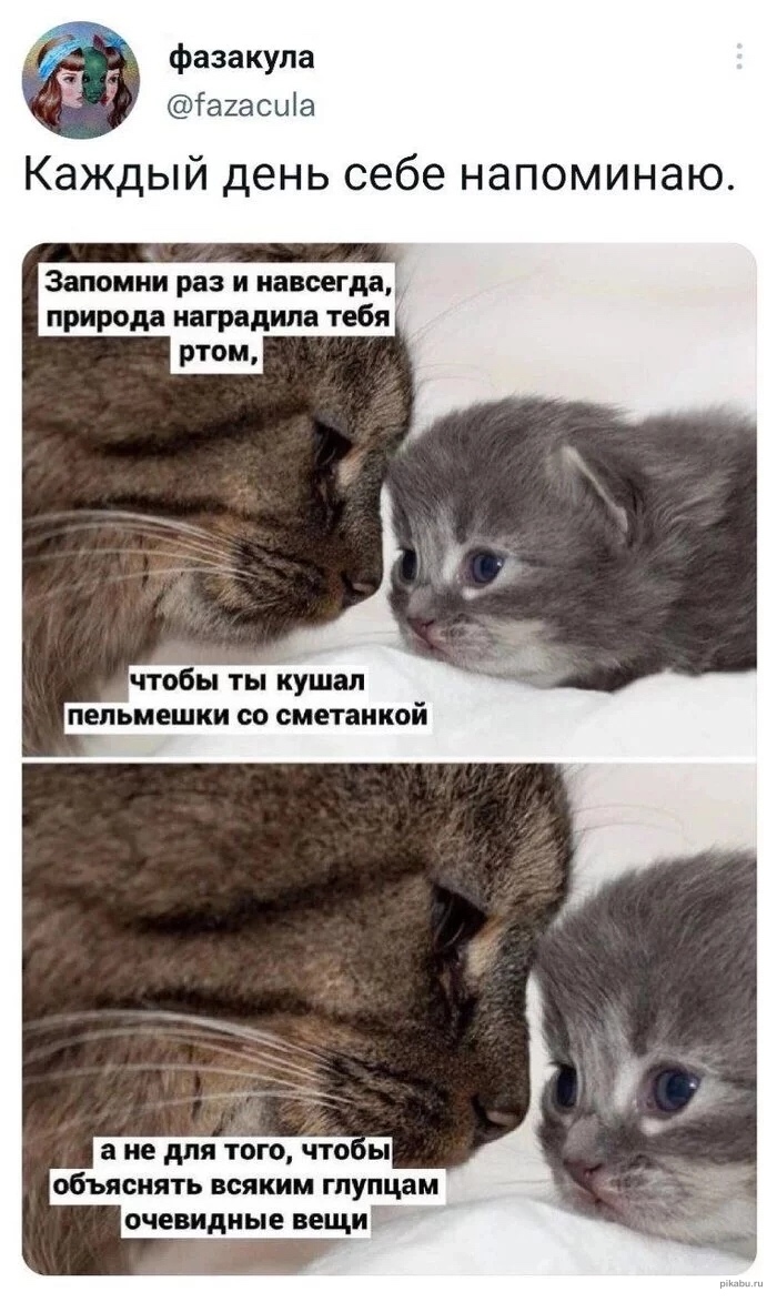 A47EA65F-176B-4140-9502-F36C63F9D33D.jpeg