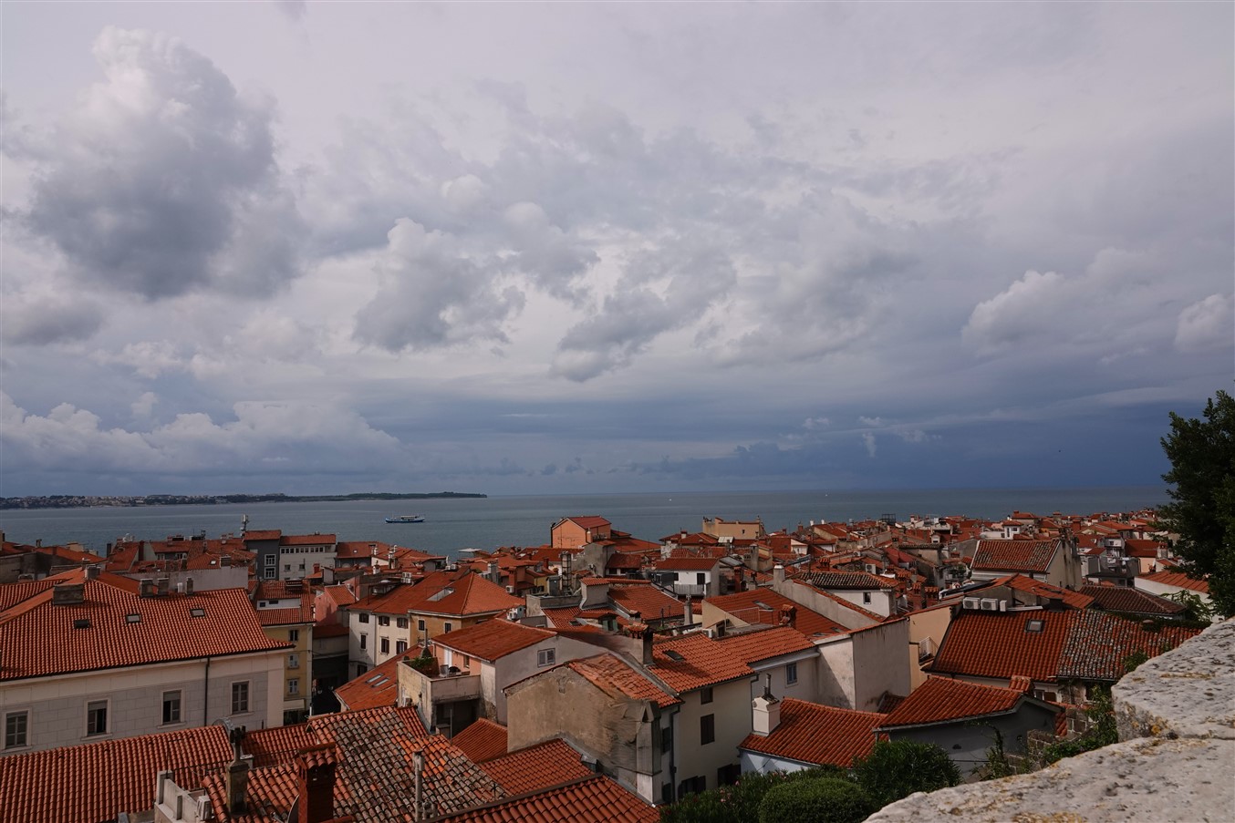 14а_DSC06768.jpg
