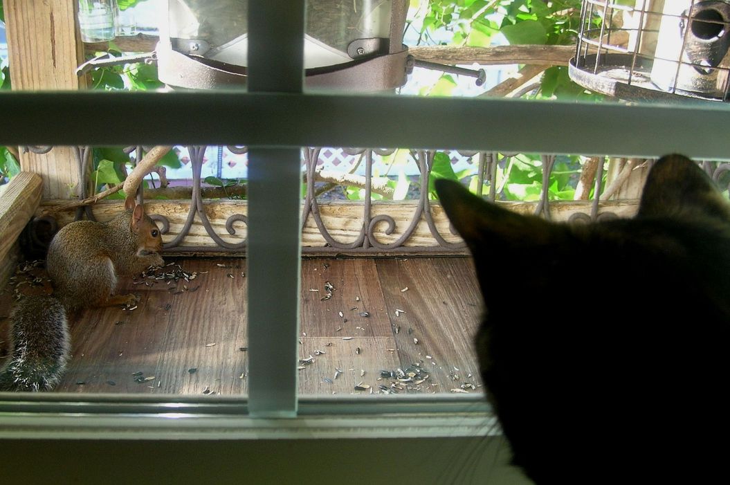DSCN5753.JPG