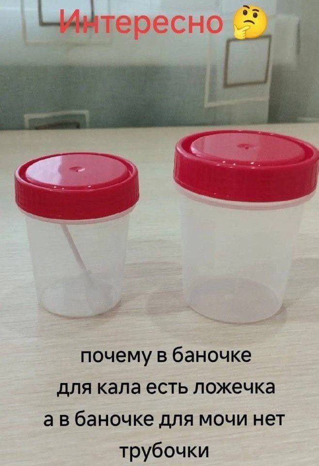 IMG_0798.jpeg