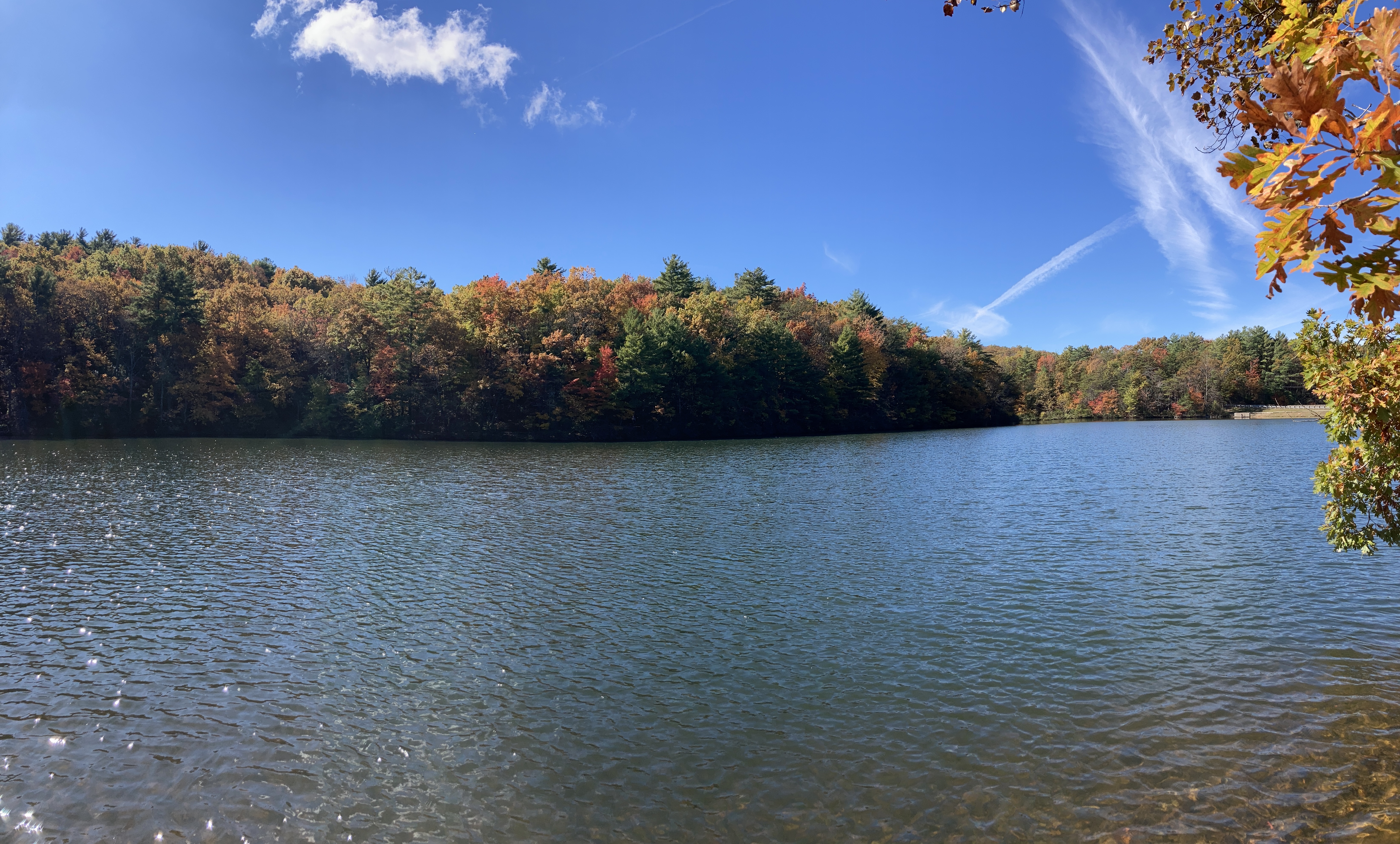 IMG_0102.jpeg