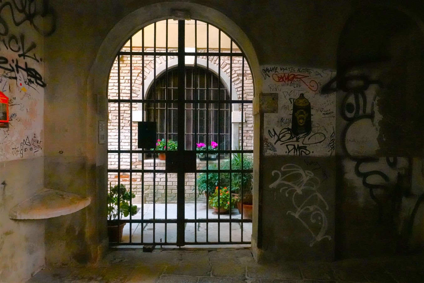 123_DSC07786.jpg