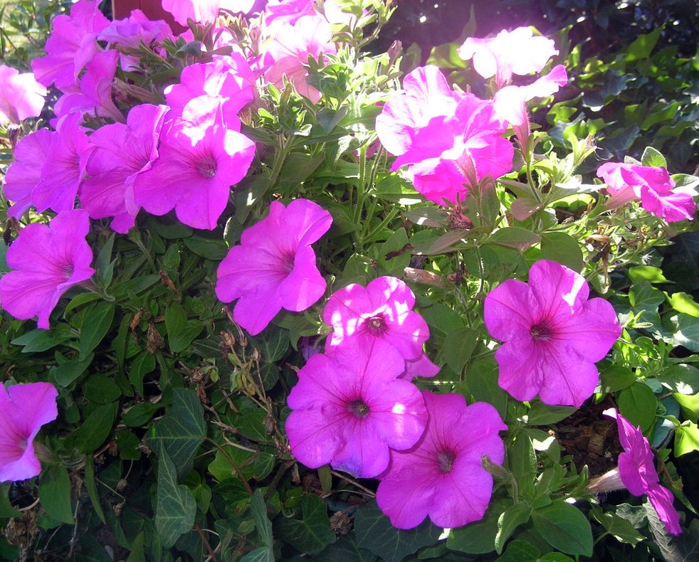 DSCN5765.JPG