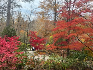 IMG_0021.jpeg