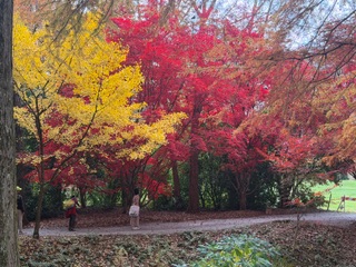 IMG_9969.jpeg