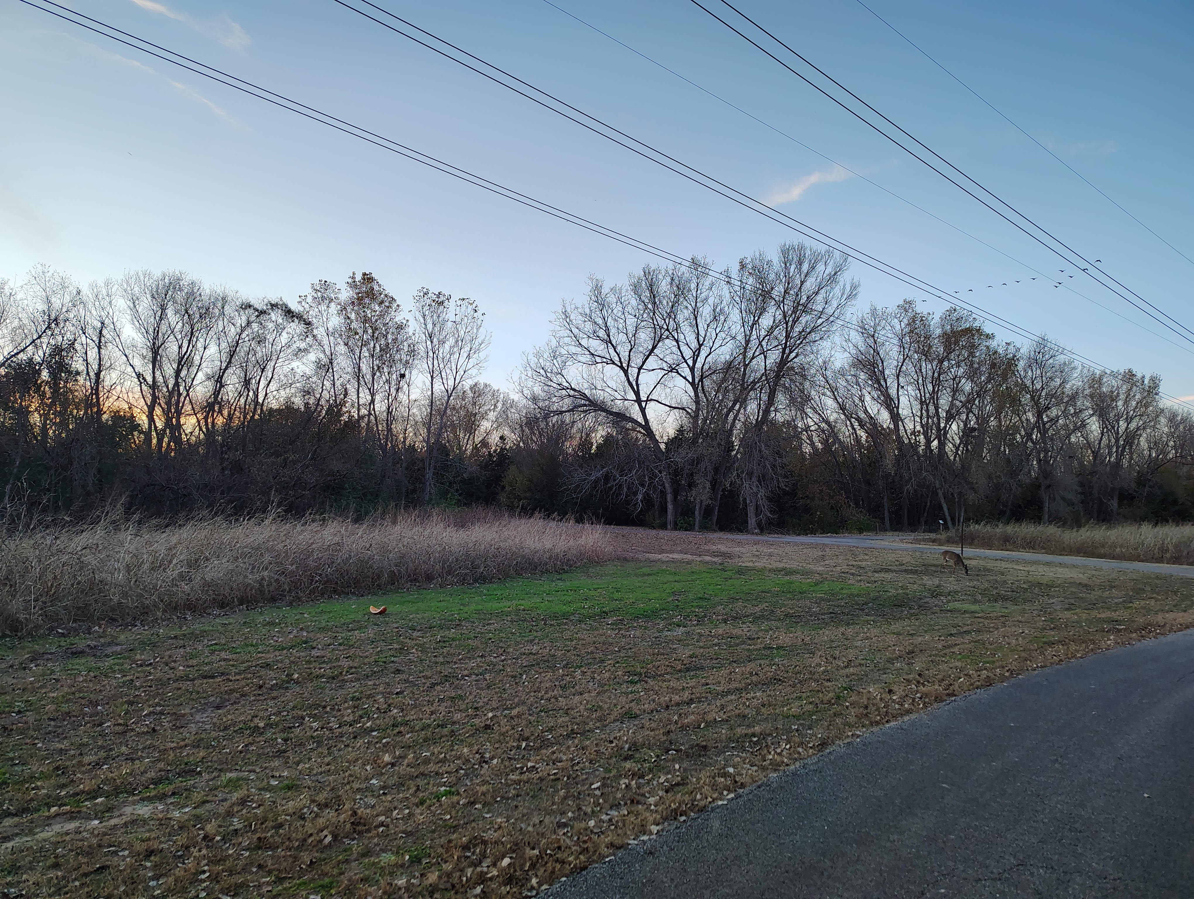 IMG_20251112_171651157_HDR.jpg