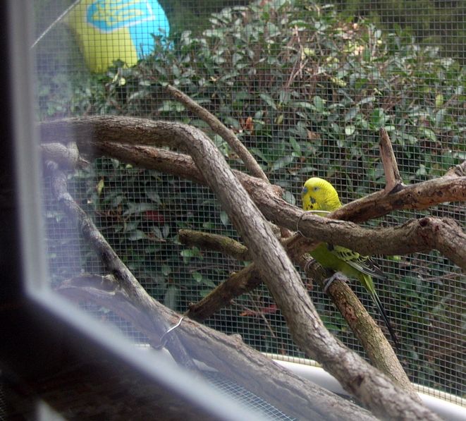 DSCN5808.JPG