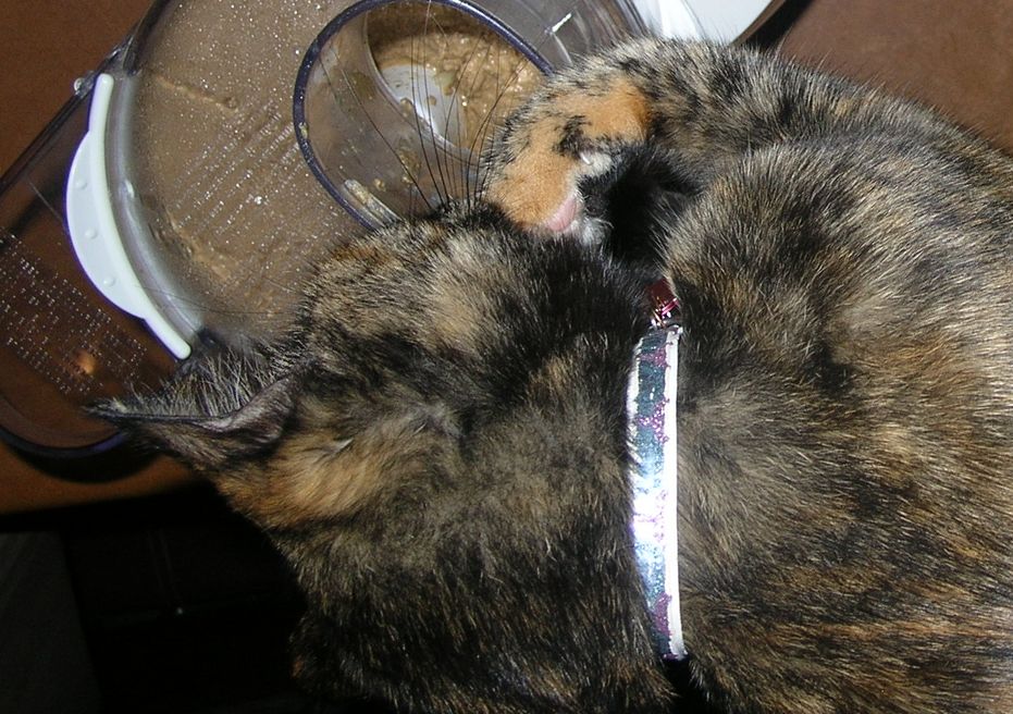 DSCN5961.JPG