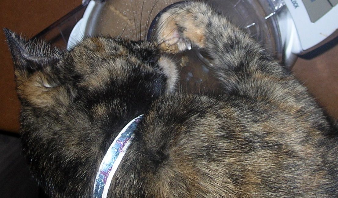 DSCN5952.JPG