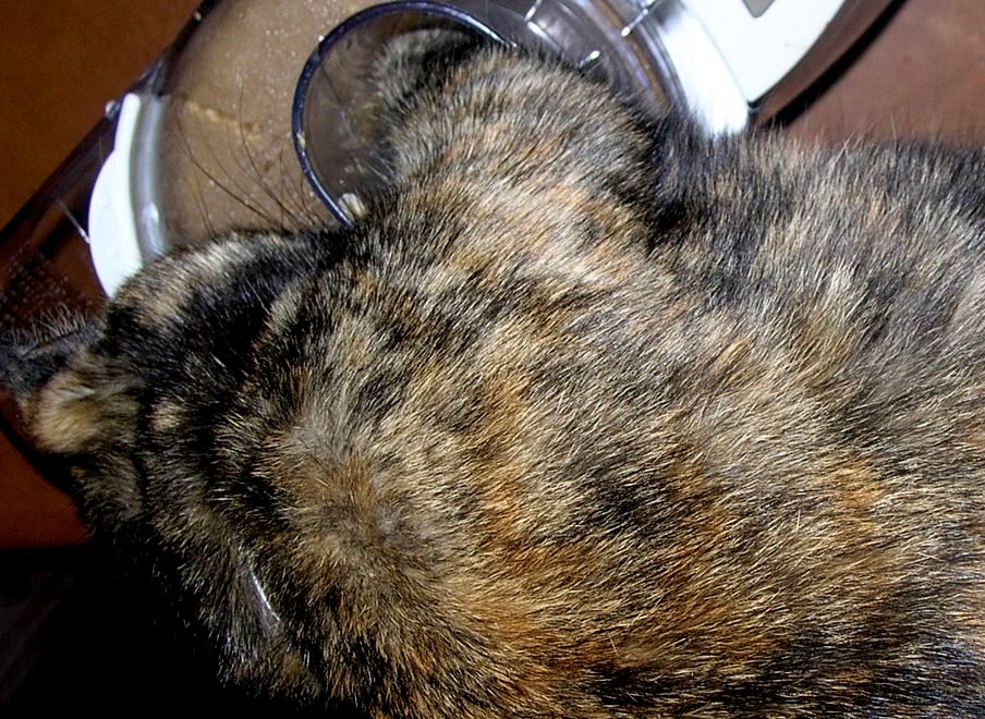DSCN5963.JPG