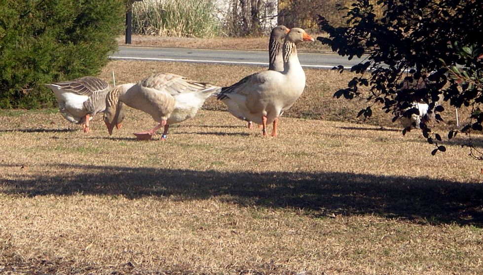 DSCN5969.JPG