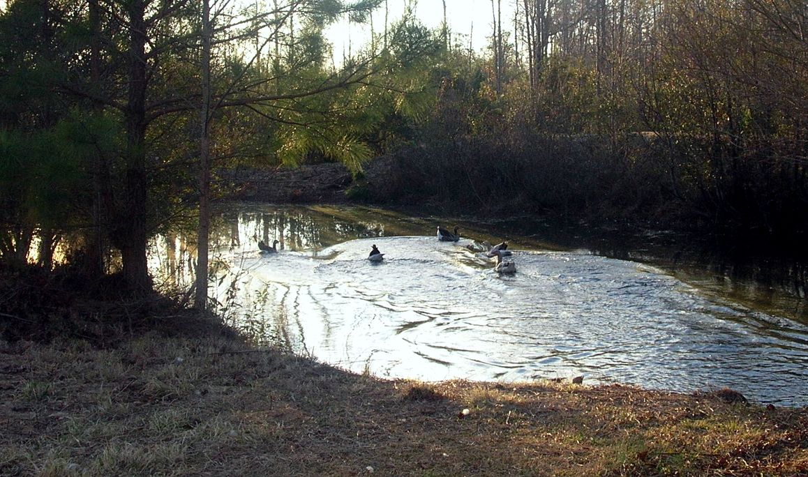 DSCN5982.JPG