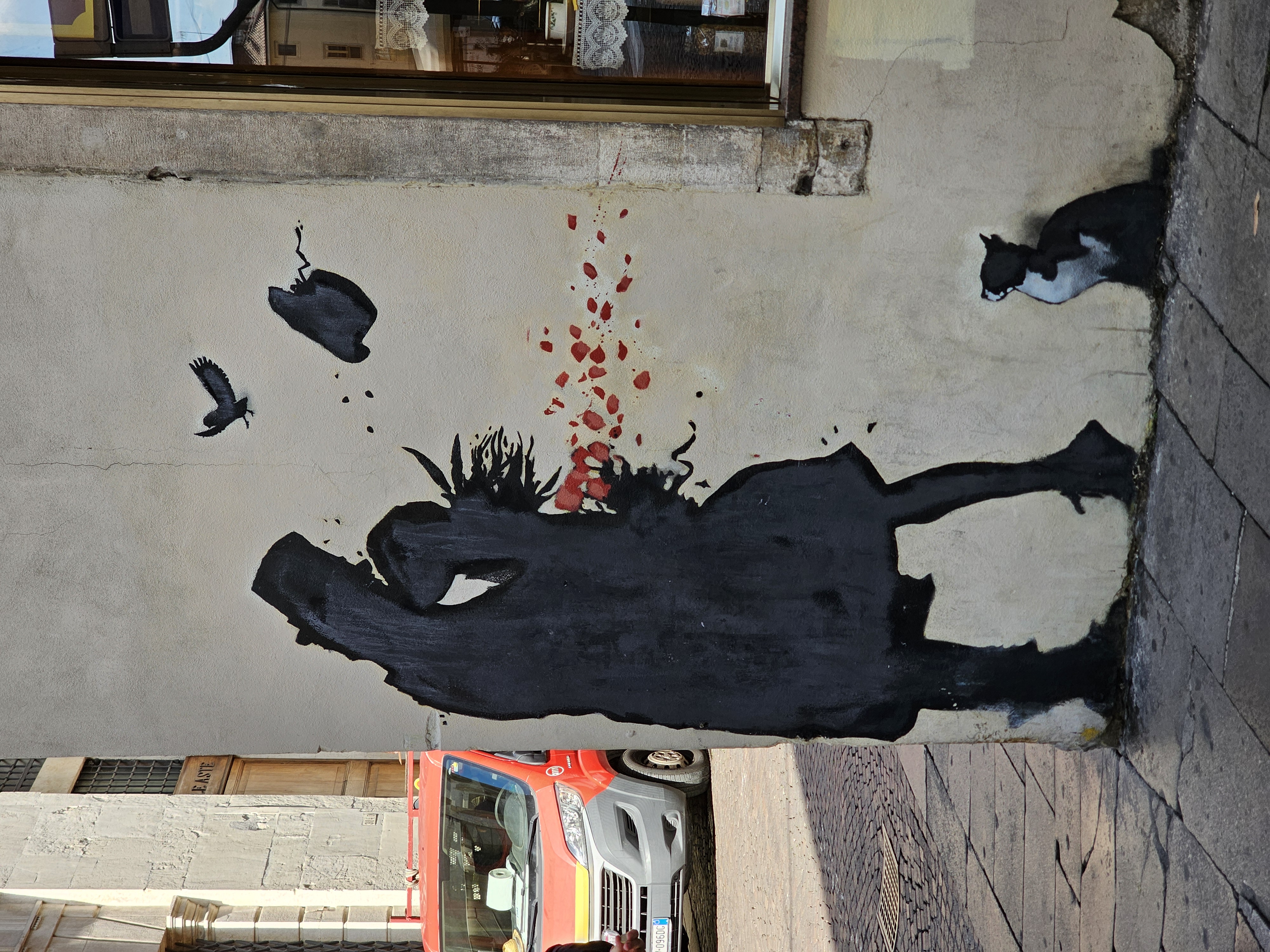 Kot_padua_grafffiti.jpg
