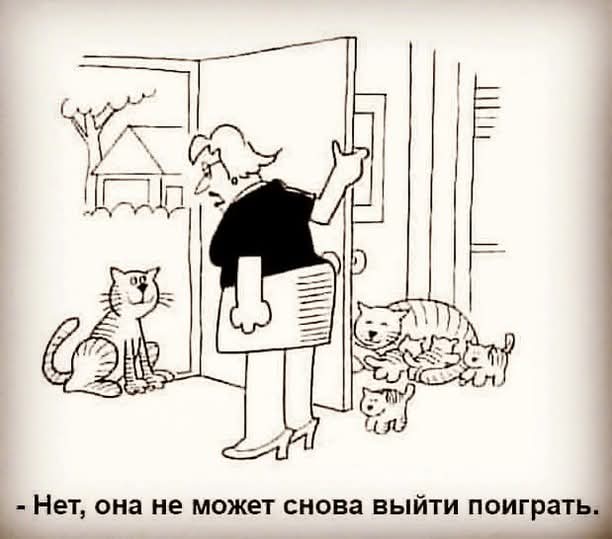 FB_IMG_1768709234599.jpg