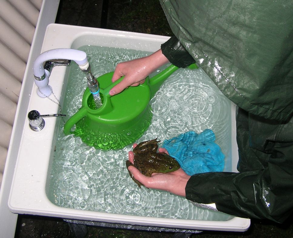 DSCN5148.JPG